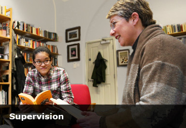 A student and supervisor in session